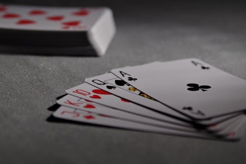 Slot Berlogo Singa: Panduan Lengkap Pemain