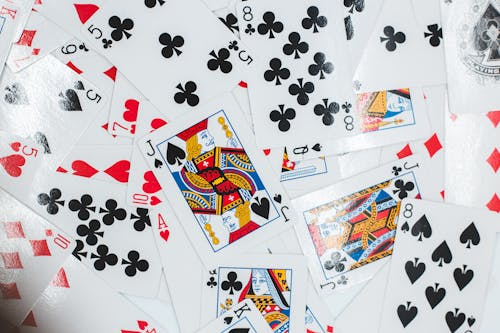 Slot Kasino Tema Singa Terbaik 2026