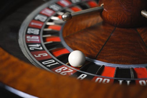 Slot Online Leon: Pemain Pemula Wajib Tahu