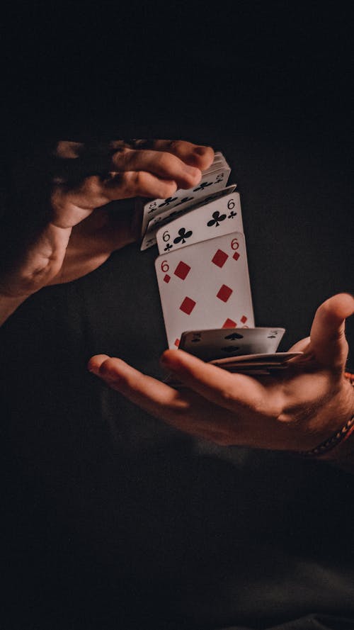 Slot Online Leon: Pemain Pemula Wajib Tahu