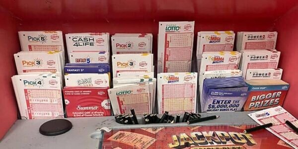 Permainan Kasino Dengan Singa: Panduan Lengkap